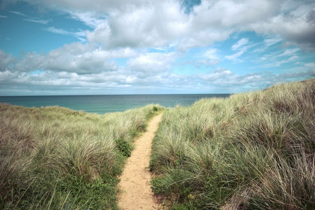 Join Me on This Adventure - Subscribe to My Newsletter Where I Share My Thoughts on My Journey to Loving Myself